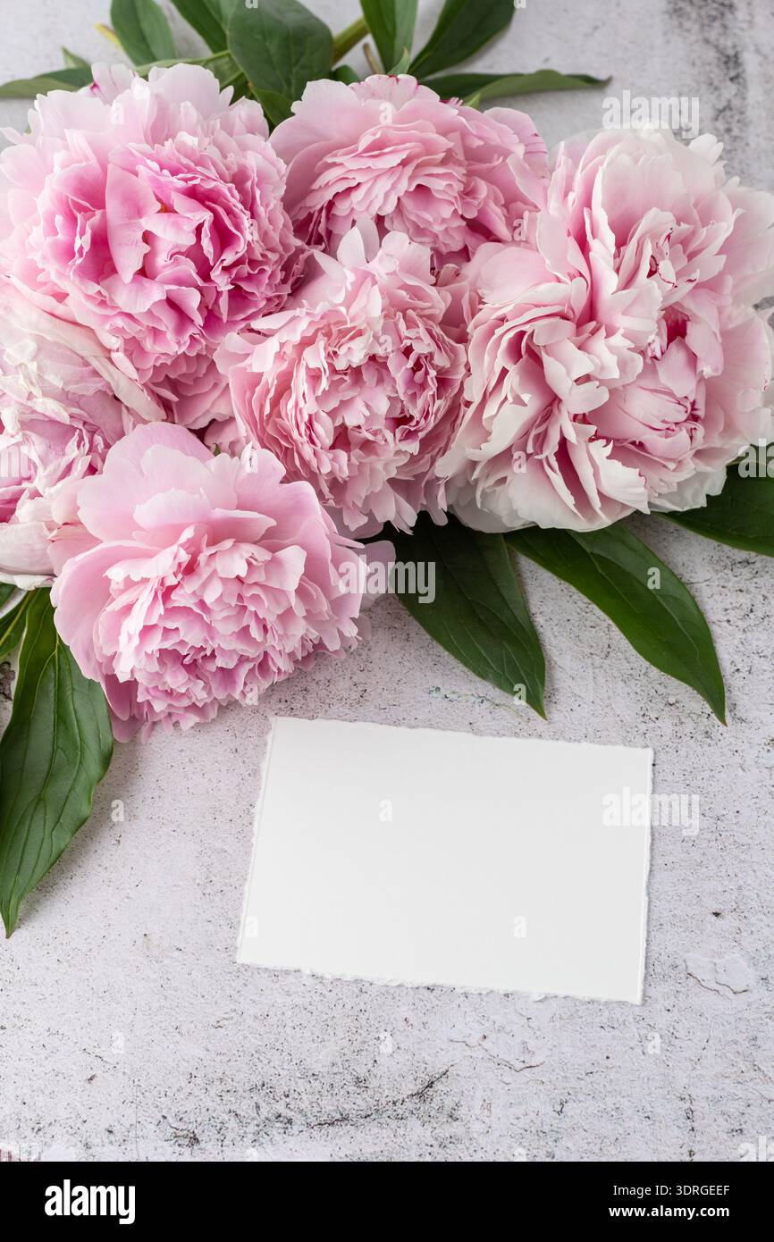 Strauß von rosa Pfingstrose Blumen und leere weiße Papierkarte auf Grunge Stein Hintergrund. Einladungskarte mit Blumenmuster im Vintage-Stil. Mockup Geburtstag gre Stockfoto