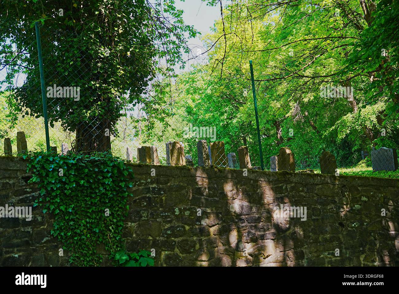 Neuer jüdischer Friedhof in Gedern, Hessen, aus dem 19. Jahrhundert. Stockfoto