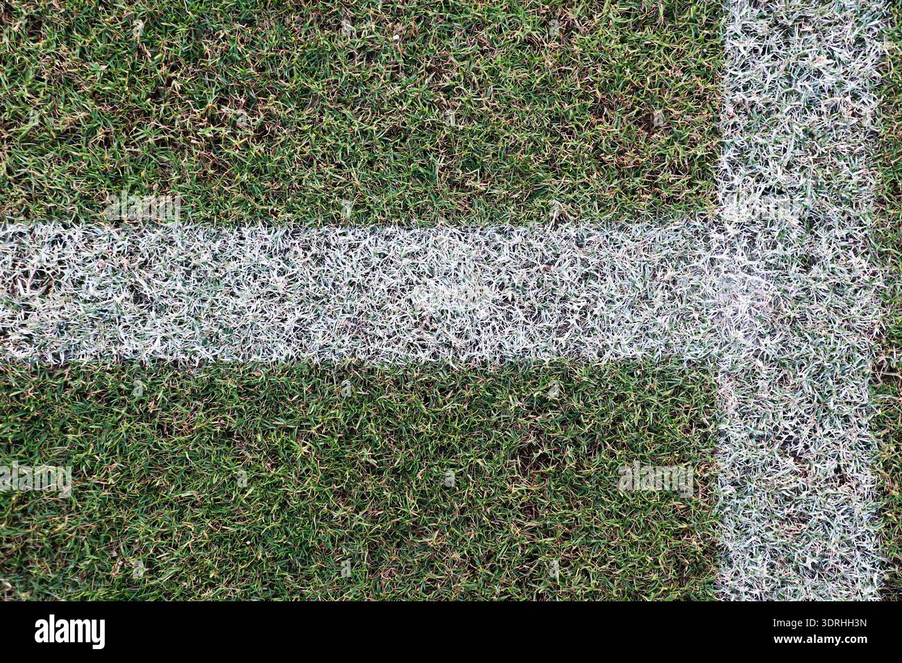 Grasfeld-Mittellinie mit weißer Markierung und minimalistischer athletischer Hintergrundstruktur. Stockfoto