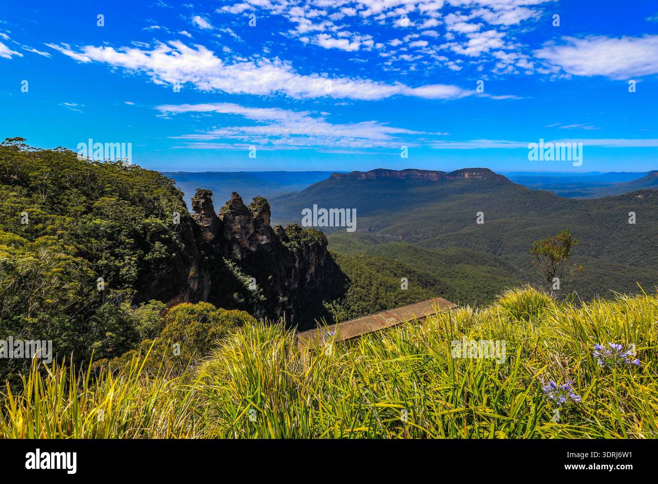 Panoramablick auf das Jamison Valley vom Echo Point in den Blue Mountains mit bewaldeter Landschaft und dramatischen Sandsteinklippen. Stockfoto