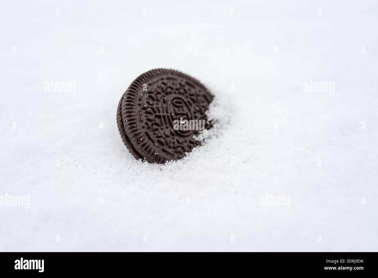 Schokoladen-Sandwich-Cookie isolierter Gourmet-Cookie halb im Schnee vergraben, hoher Kontrast zwischen dunklem Keks. 18-02-2026 Warschau, Polen Stockfoto