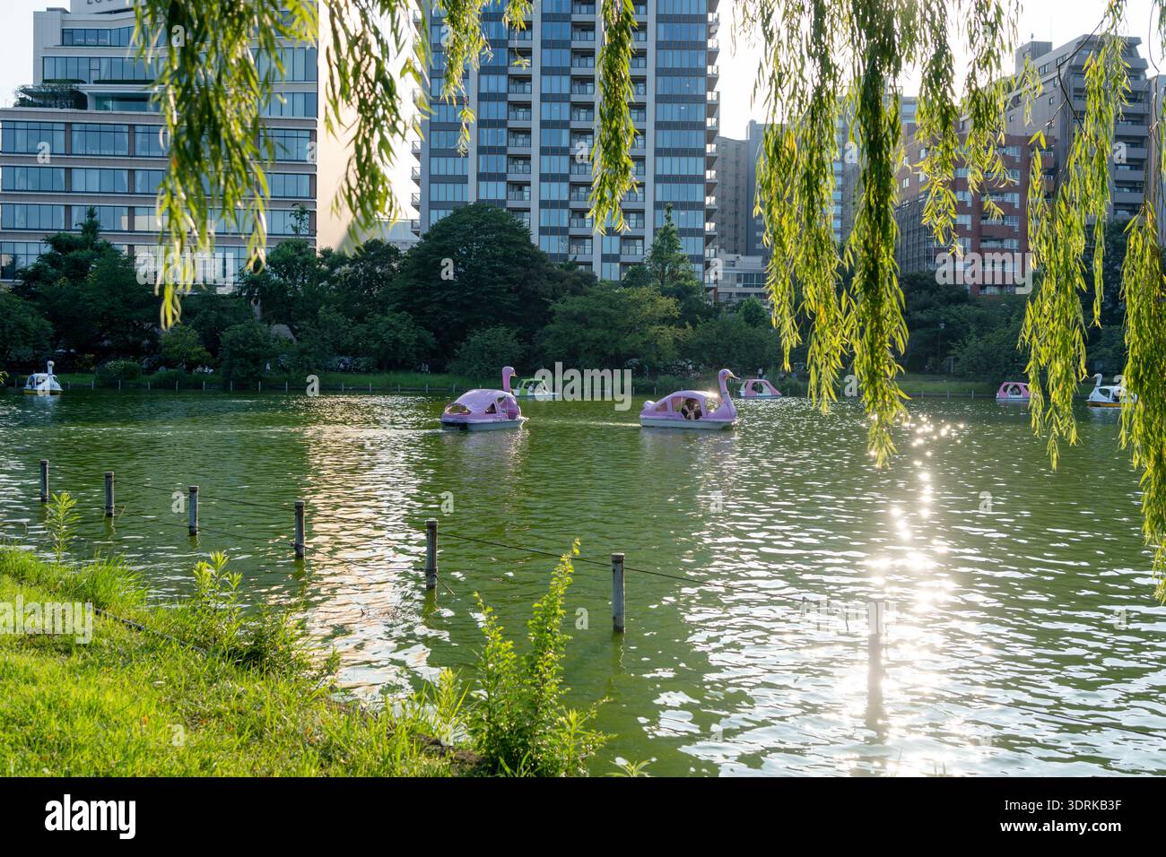 Shinobazu no Ike Seeblick in Ueno, Tokio, Japan Stockfoto