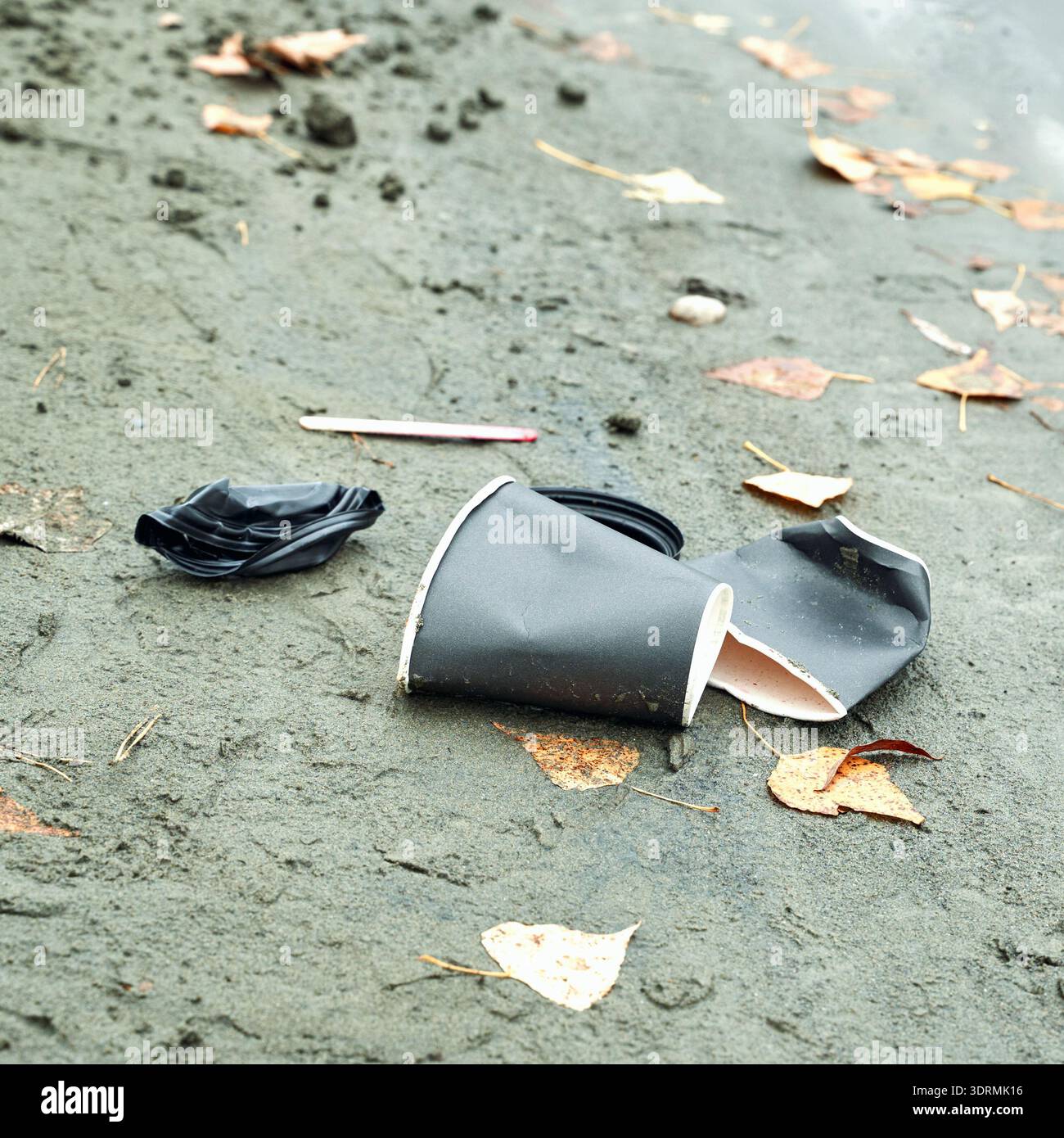 Umweltauswirkungen von gestreuten Kaffeetassen auf sandigen Seeufern mit gefallenem Laub Stockfoto