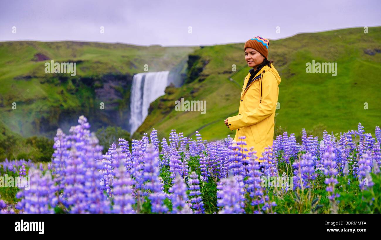 Asiatische Frau, die in einem Lupinenfeld am Wasserfall, dem Skogafoss-Wasserfall, Island, spaziert. Stockfoto