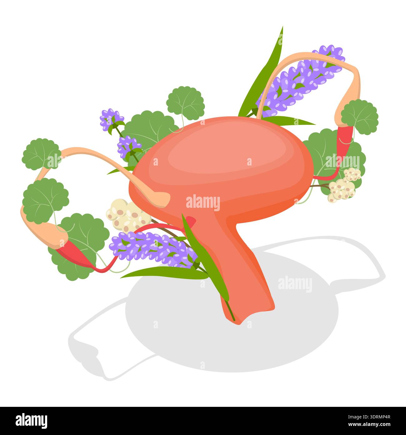 3D Isometrischer flacher Vektor-Satz menschlicher Organe mit Blumen Stockfoto