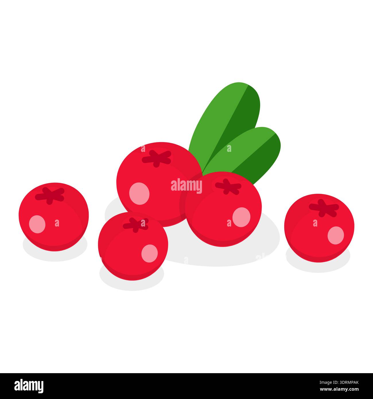 3D Isometrischer flacher Vektor Set von medizinischen Kräutern und Beeren Stockfoto