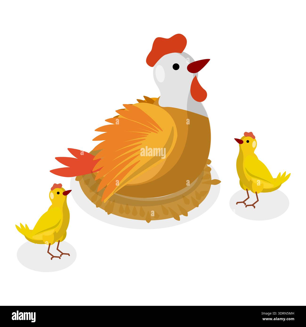 3D Isometrischer Flachvektorsatz von Hühnern Stockfoto