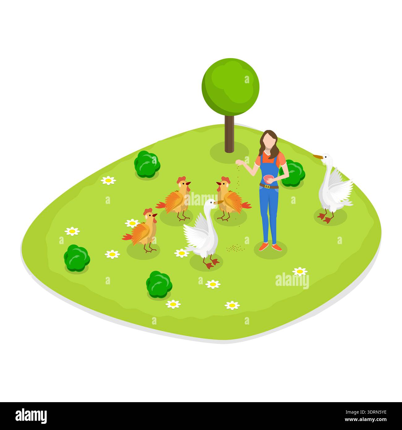 Isometrischer 3D-Vektor-Satz von Farmen Stockfoto