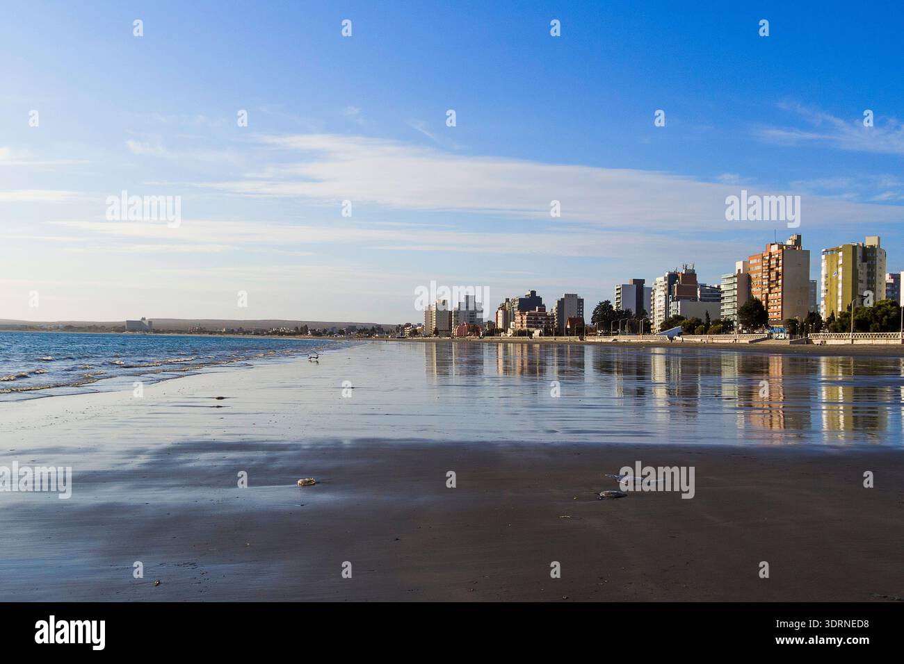 001-012025-1888 Stockfoto