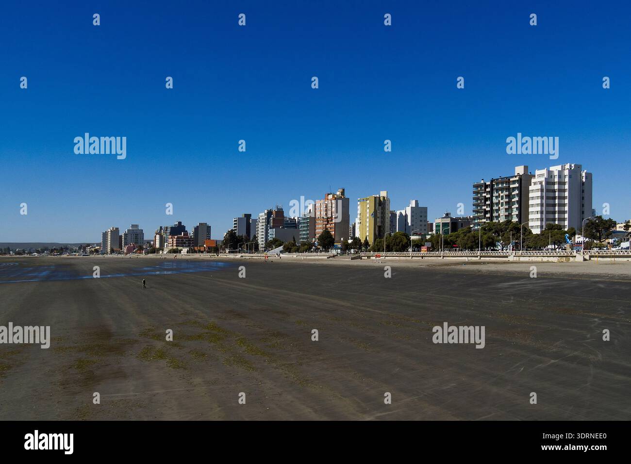 001-012025-1875 Stockfoto