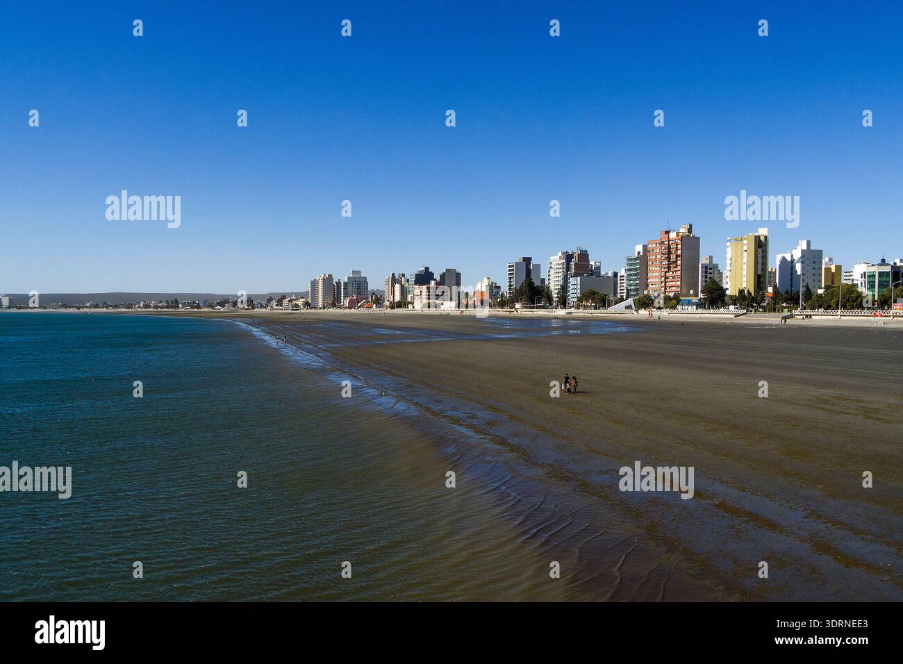 001-012025-1874 Stockfoto