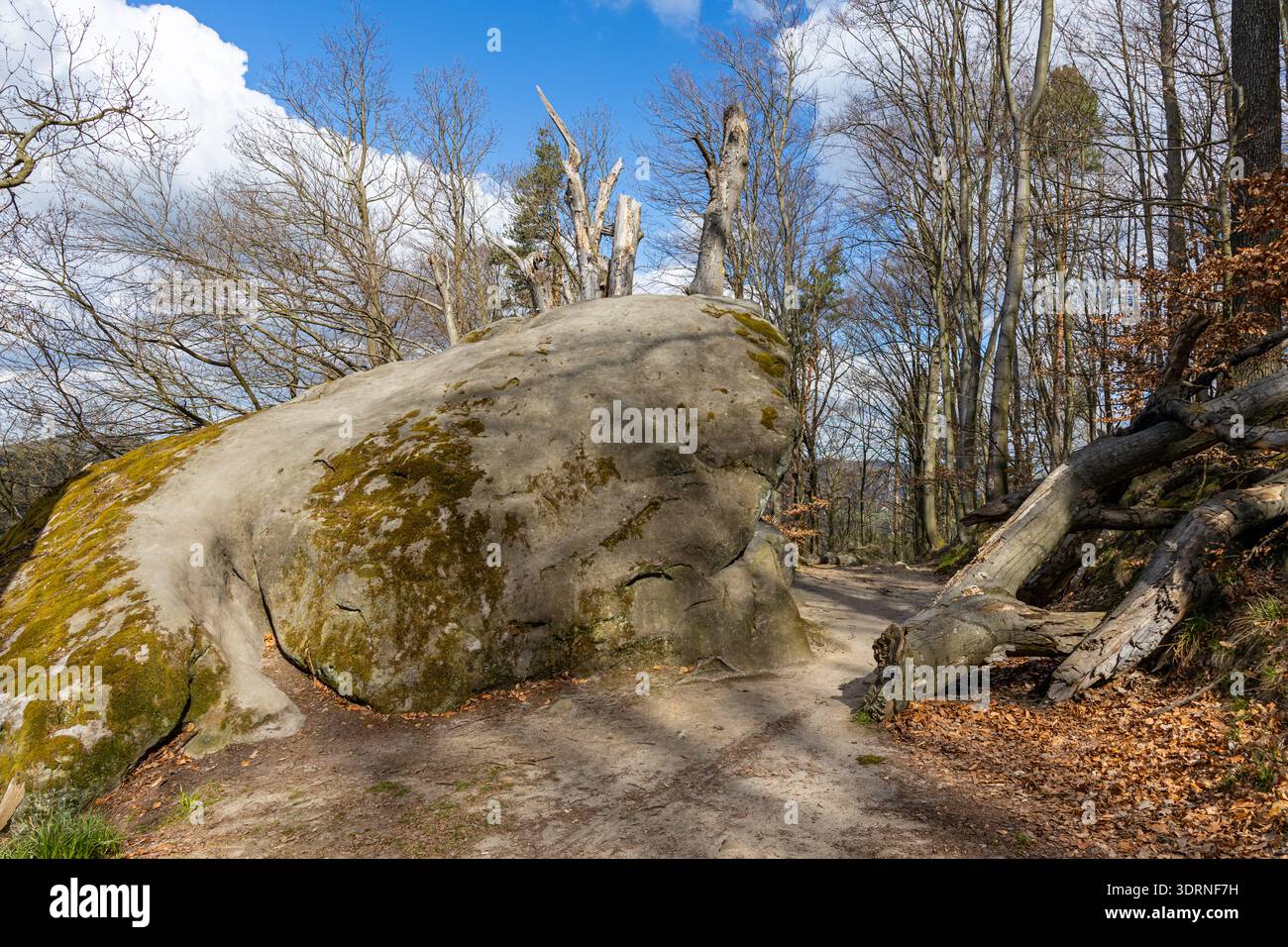 Bilder aus dem Nationalpark Elbsandsteingebirge Sächsische Schweiz Stockfoto