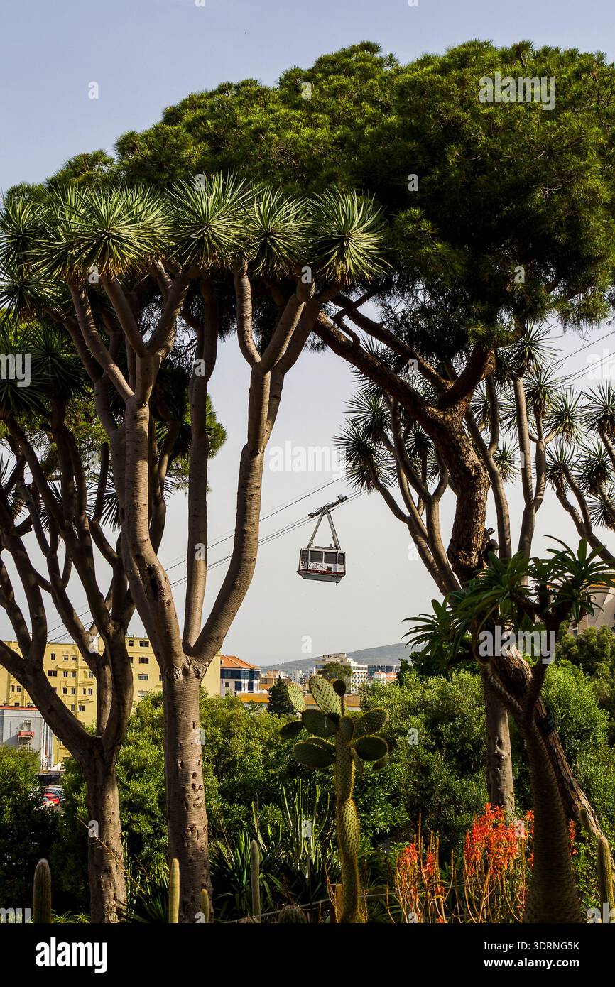 Europa - Gibraltar Stockfoto