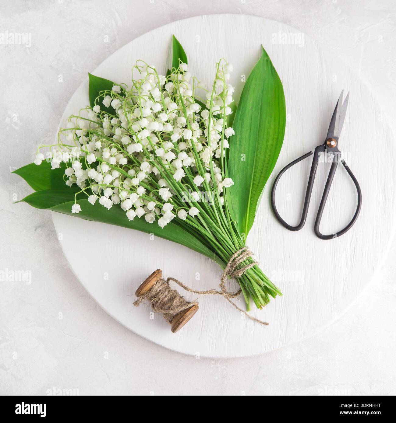 Lily aus dem Tal blüht auf weißem Holzbrett Stockfoto