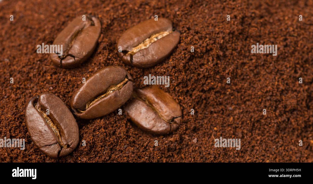 Kaffeebohnen und gemahlenen Kaffee. Selektiver Fokus Stockfoto