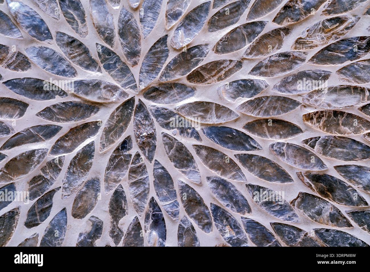 Perlmutt in abstrakter Sternform, eingelegt auf einer flachen Oberfläche Stockfoto
