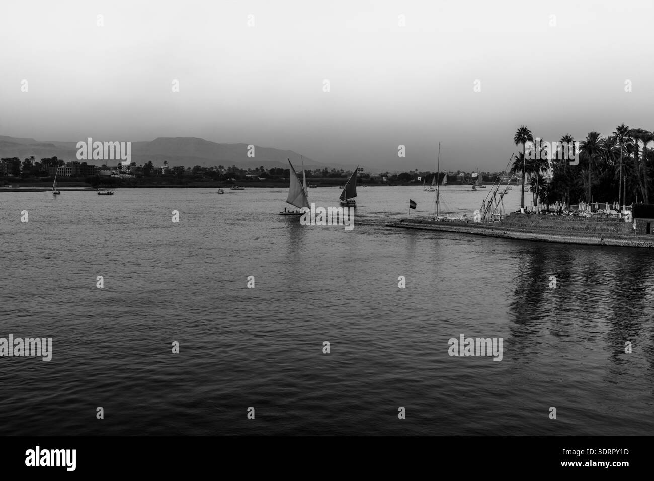 Schwarz-weiß-Ansicht von Segelbooten, die entlang des Nils in Assuan fahren, Ägypten, betont Kontrast, Stille und zeitlose Atmosphäre, die für edi geeignet ist Stockfoto