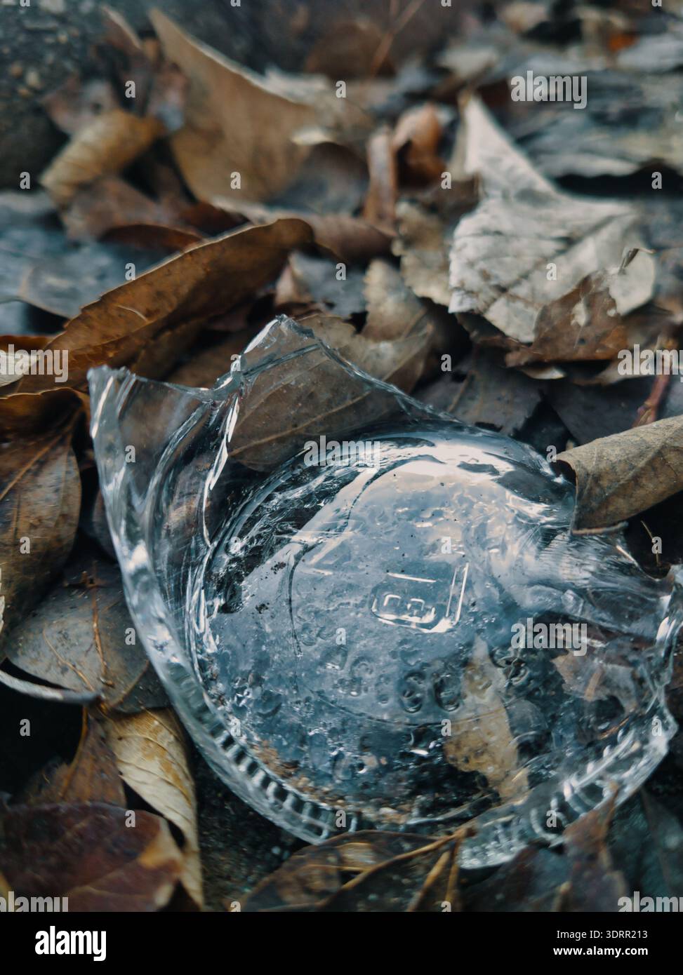 Ein karges Stillleben aus Ecseri ut, Budapest, mit dem gebrochenen Boden einer Glasflasche, der zwischen knusprigen braunen, gefallenen Blättern liegt. Stockfoto