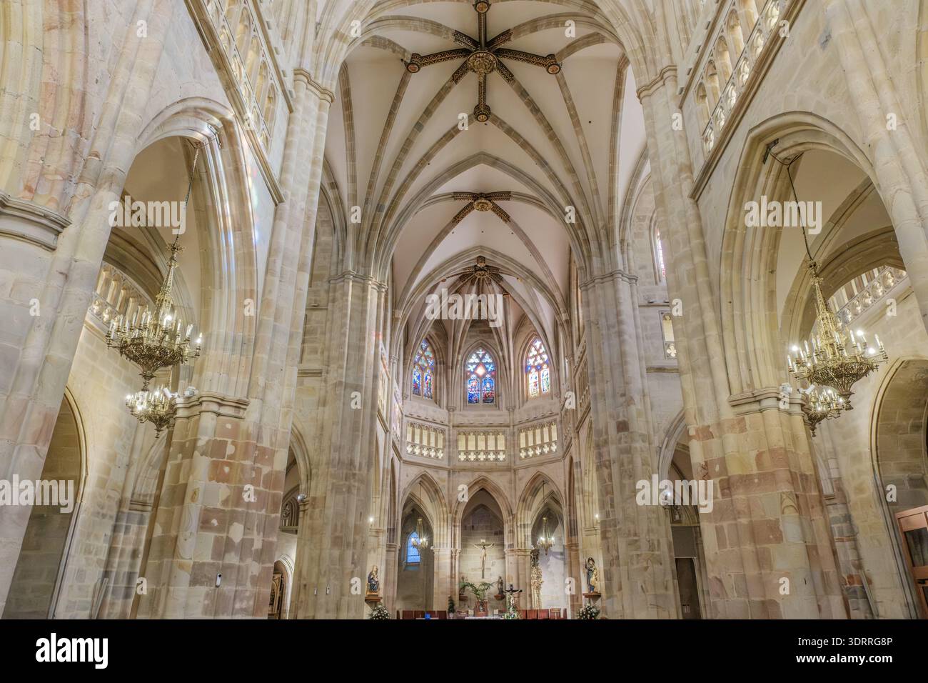 Inneres der Kathedrale von Bilbao (Catedral de Santiago de Bilbao), Spanien, gotische Rippengewölbe Stockfoto