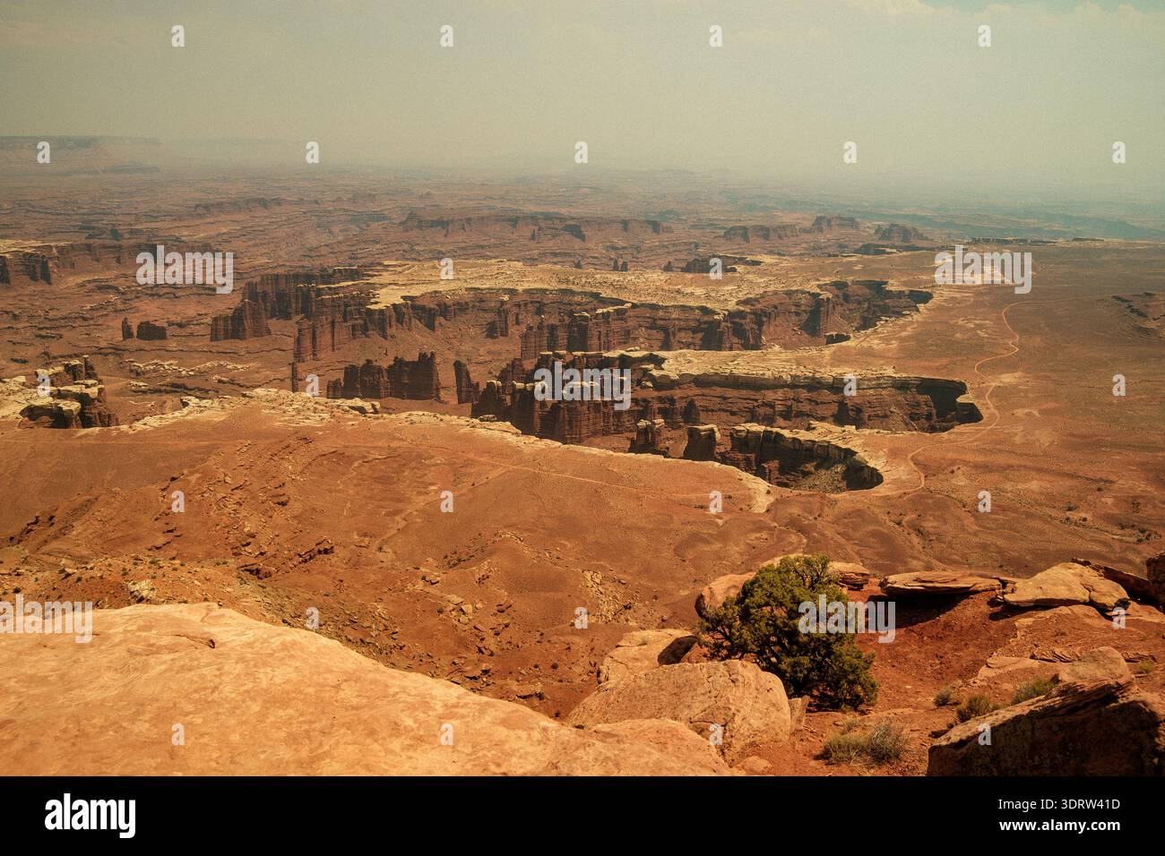 Desolate Red Sandstone Formationen Unter Nebel. Ruhiger Blick Auf Erodierte Canyonhänge Und Ferne Horizonte Stockfoto