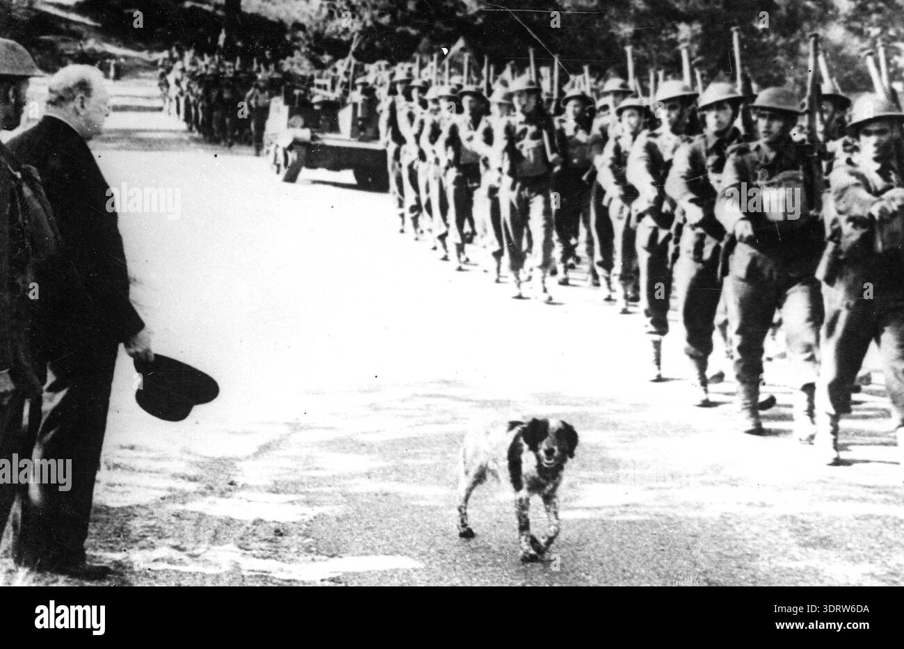 Der britische Premierminister Winston Churchill, der seinen Hut hält, beobachtet 1940 eine Parade neuseeländischer Militärformationen. Ein Hund schlendert spielerisch zwischen Churchill und den marschierenden Soldaten und fügt der Szene ein unerwartetes Element hinzu. Stockfoto