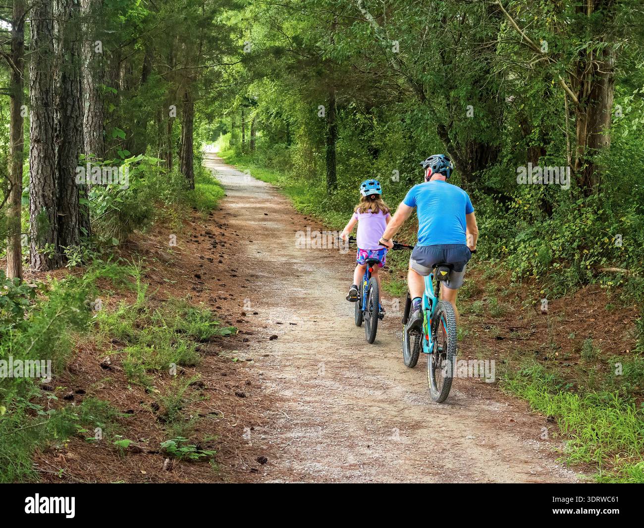 Raleigh, North Carolina, USA. Ein Vater und eine Tochter fahren Mountainbikes auf einem bewaldeten Pfad im Williamson Preserve. Stockfoto