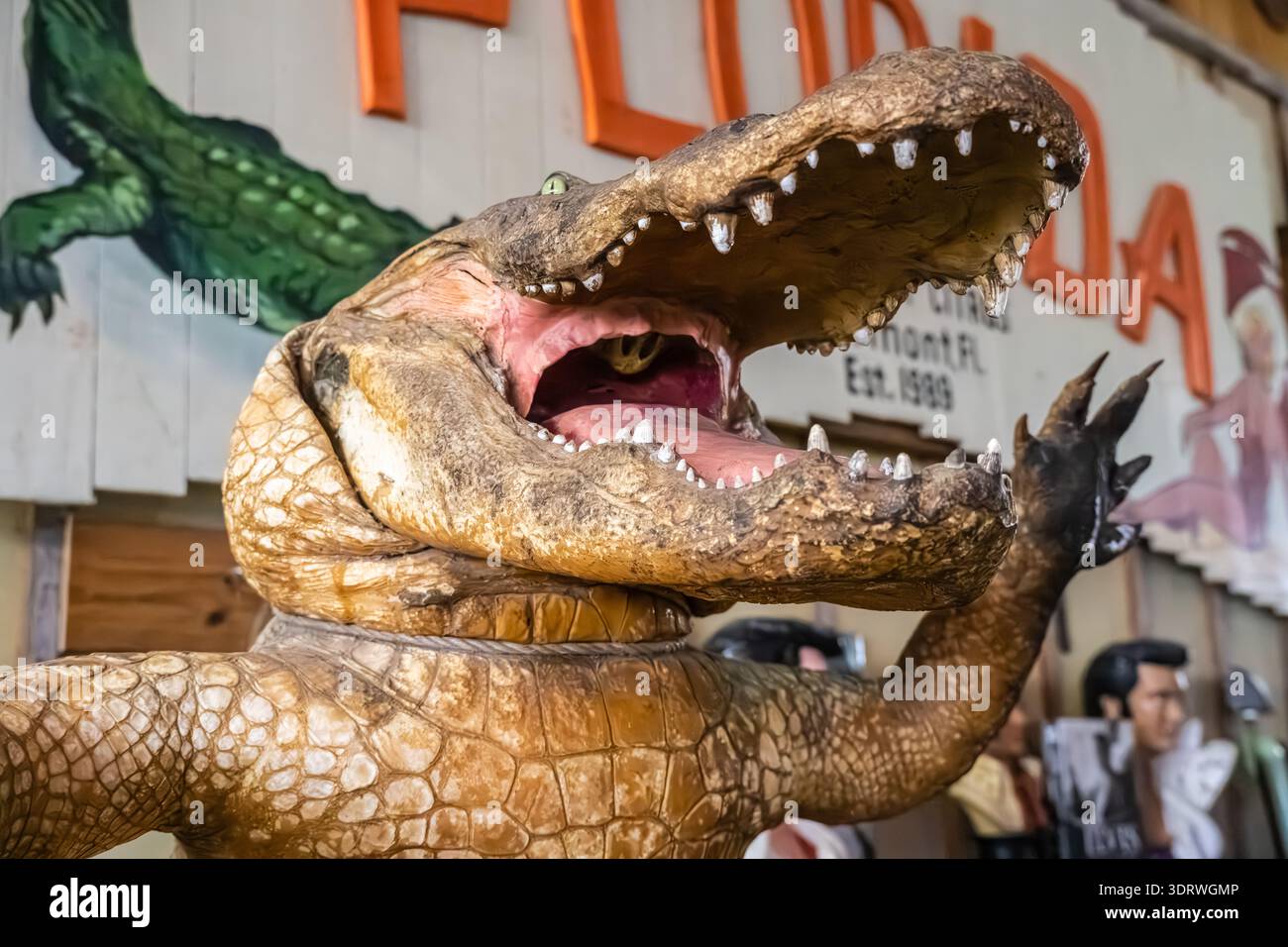 Neuheiten im Showcase of Citrus in Florida in Clermont, Florida. (USA) Stockfoto