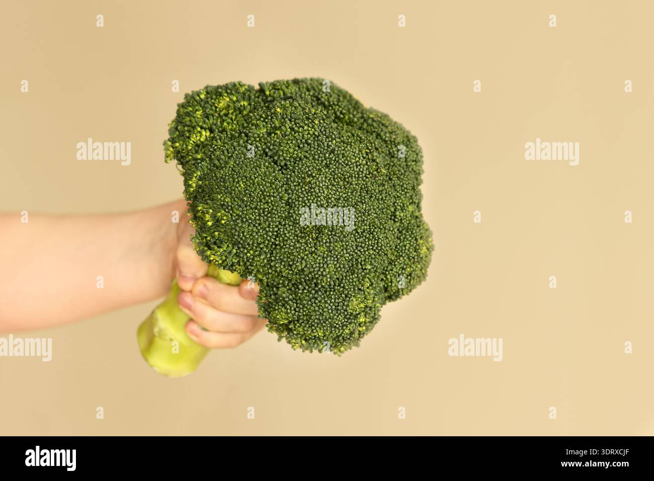 Kind, das großen frischen Brokkoli auf sauberem neutralen Hintergrund hält Stockfoto