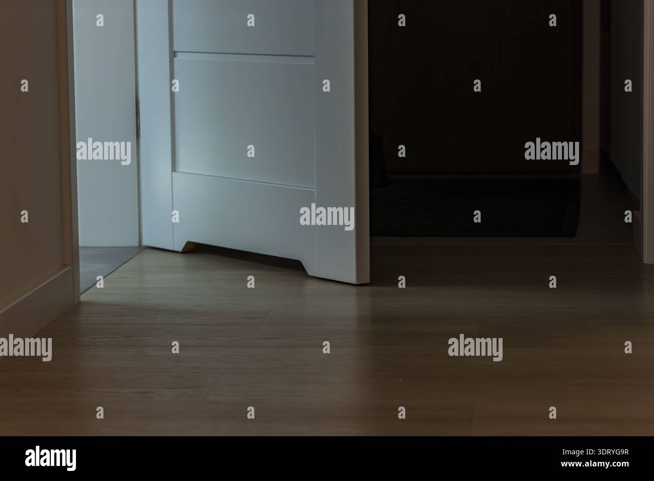 Eine weiße, moderne Tür steht offen, kühles Licht taucht auf hellen Holzfußboden in einem polnischen Haus auf, ein Teppich verblasst in Schatten, die Abendbeleuchtung deutet auf Quie hin Stockfoto