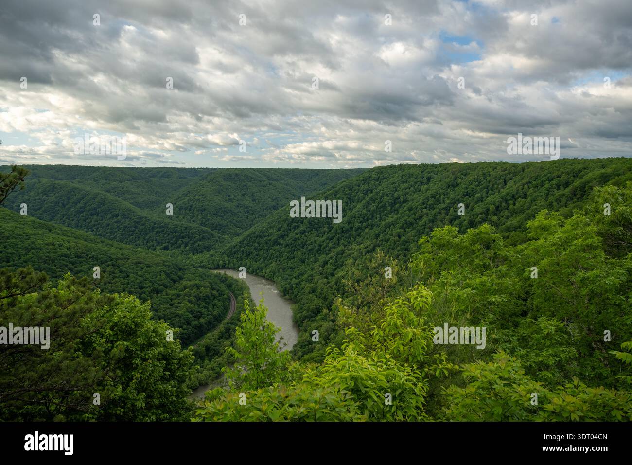 Tiefgrüne Farben Des Frühsommers Decken Den New River Gorge National Park Ab Stockfoto