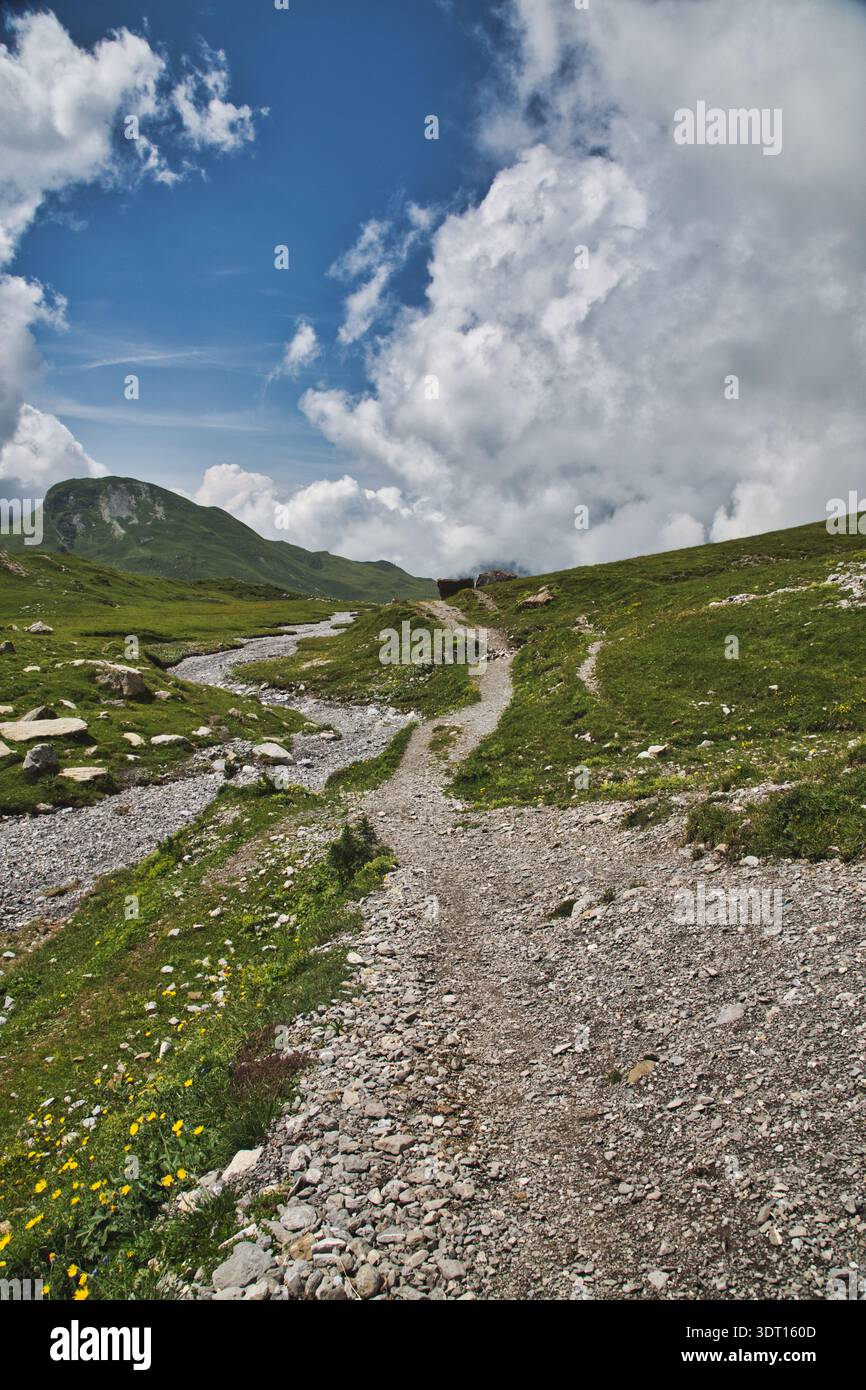 Ein malerischer Pfad durch üppige Wiesen in Derborence, Schweiz, der die ruhige Natur einfängt. Stockfoto