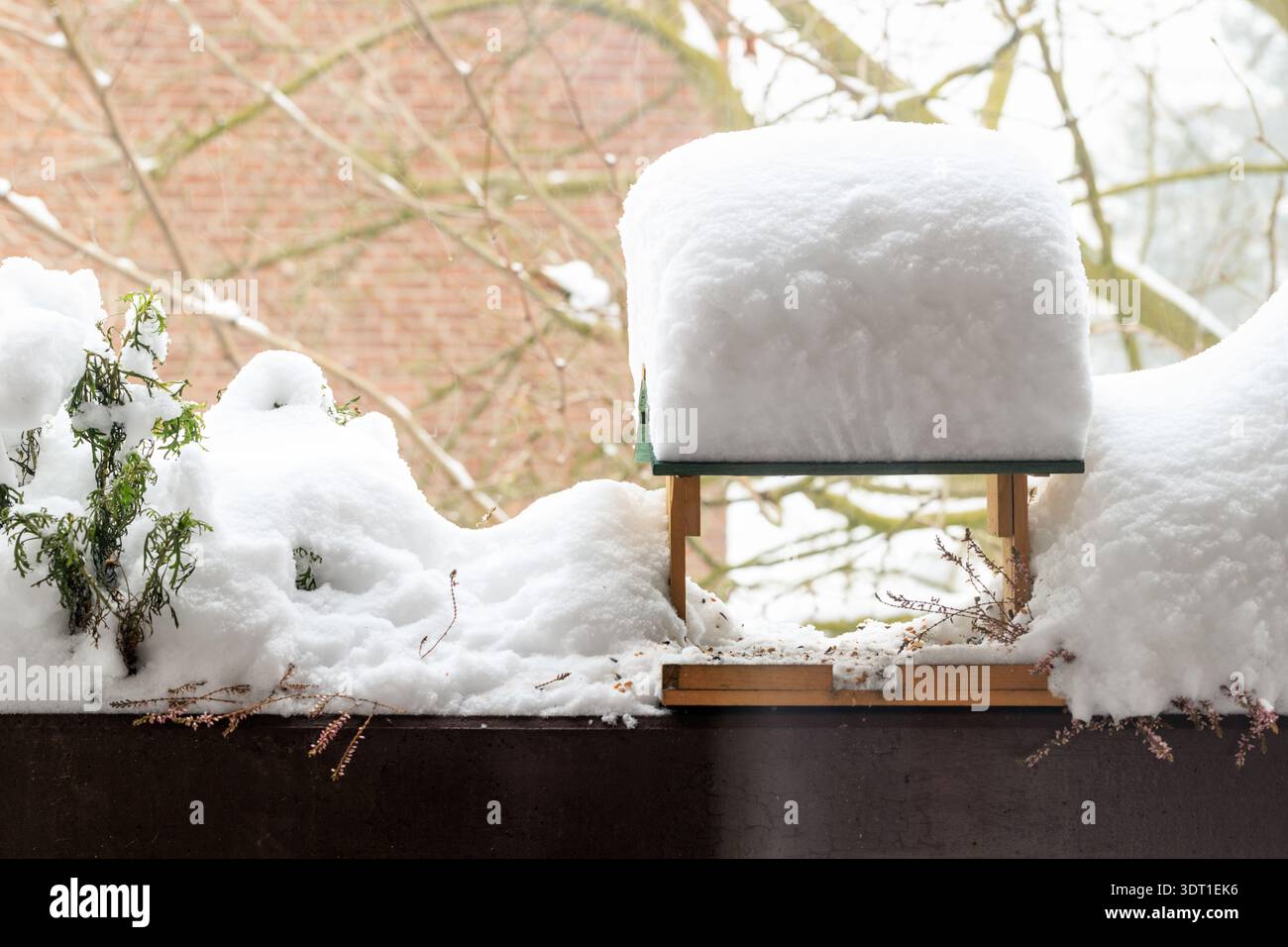Holzvogelfutter im Garten nach starkem Schneefall im Winter Deutschland. Stockfoto