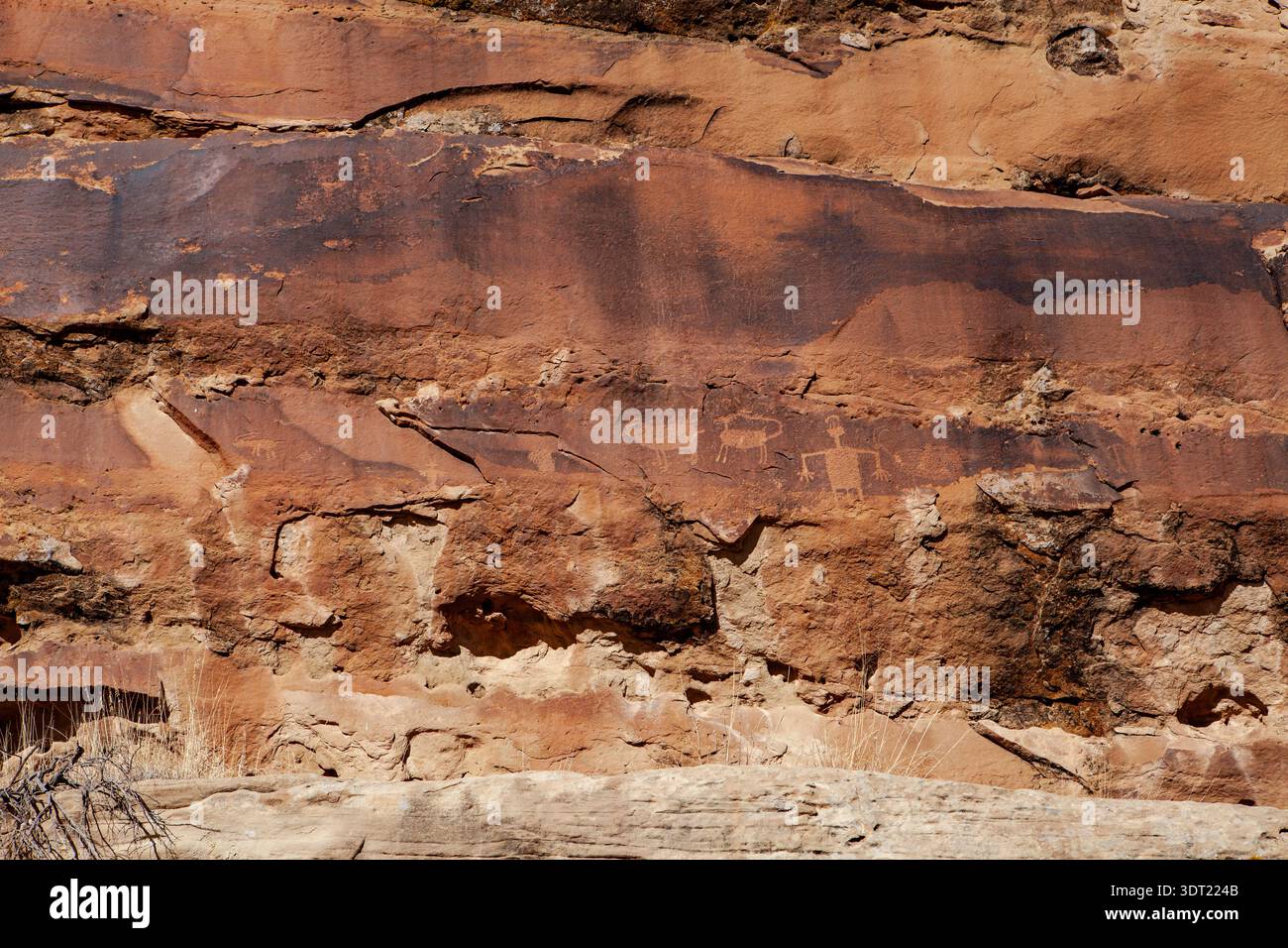 Felswände mit mehreren Petroglyphen Stockfoto
