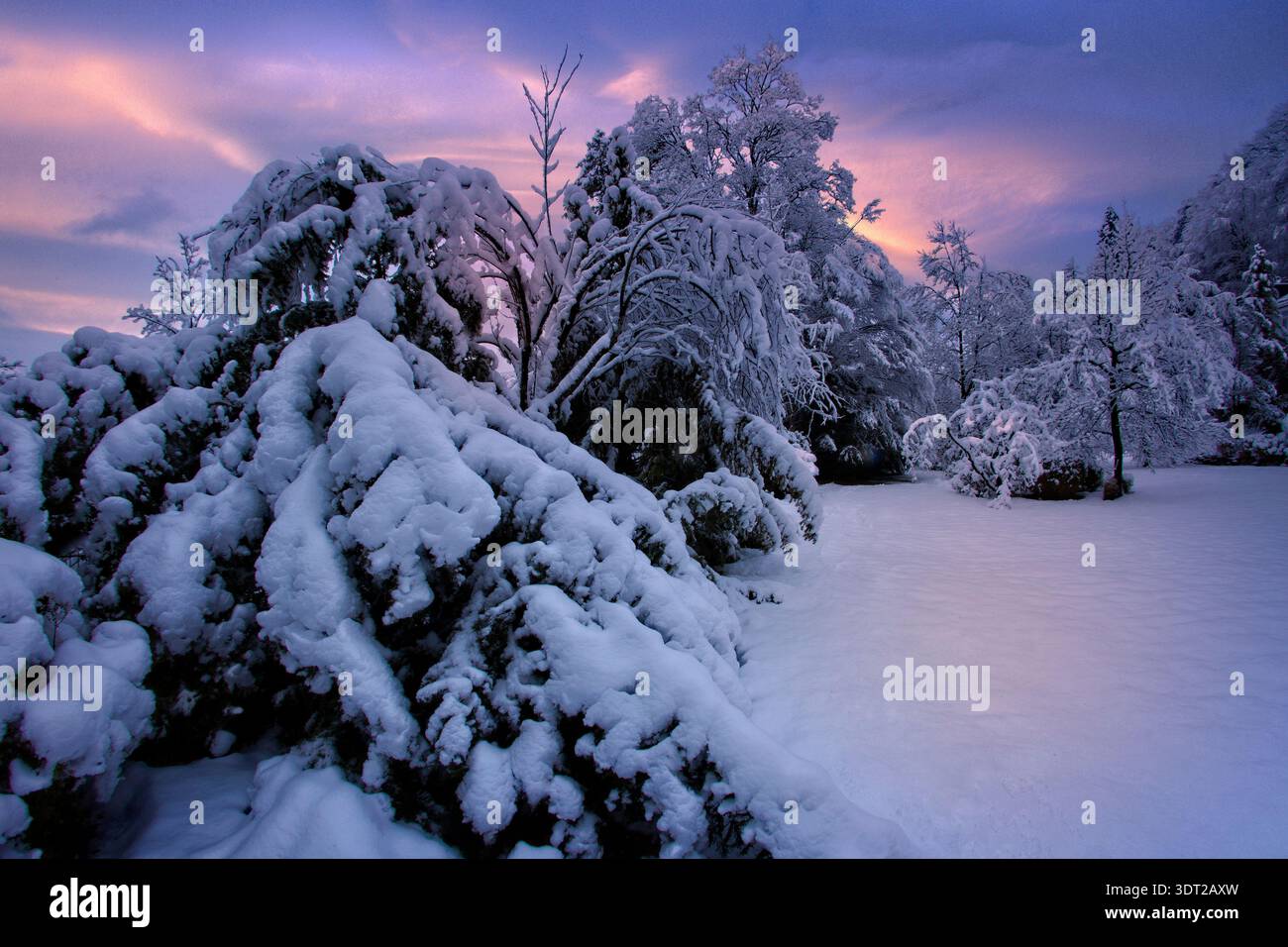 DE - BAYERN: Winterszene im Isartal bei Bad Tölz von Edmund Nagele FRPS Stockfoto