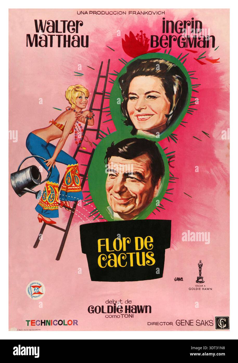 CACTUS FLOWER (1969) INGRID BERGMAN, WALTER MATTHAU, GOLDIE HAWN CFLW 001  Stockfotografie - Alamy