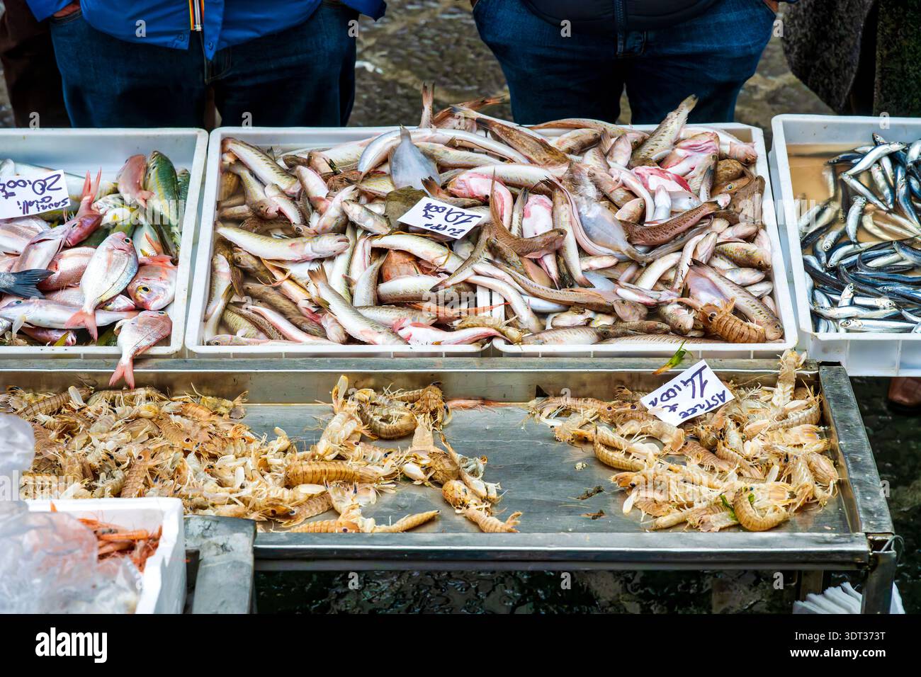 Auswahl an Meeresfrüchten im La Pescheria in Catania, Sizilien, Italien mit weißen Plastikkisten. Stockfoto