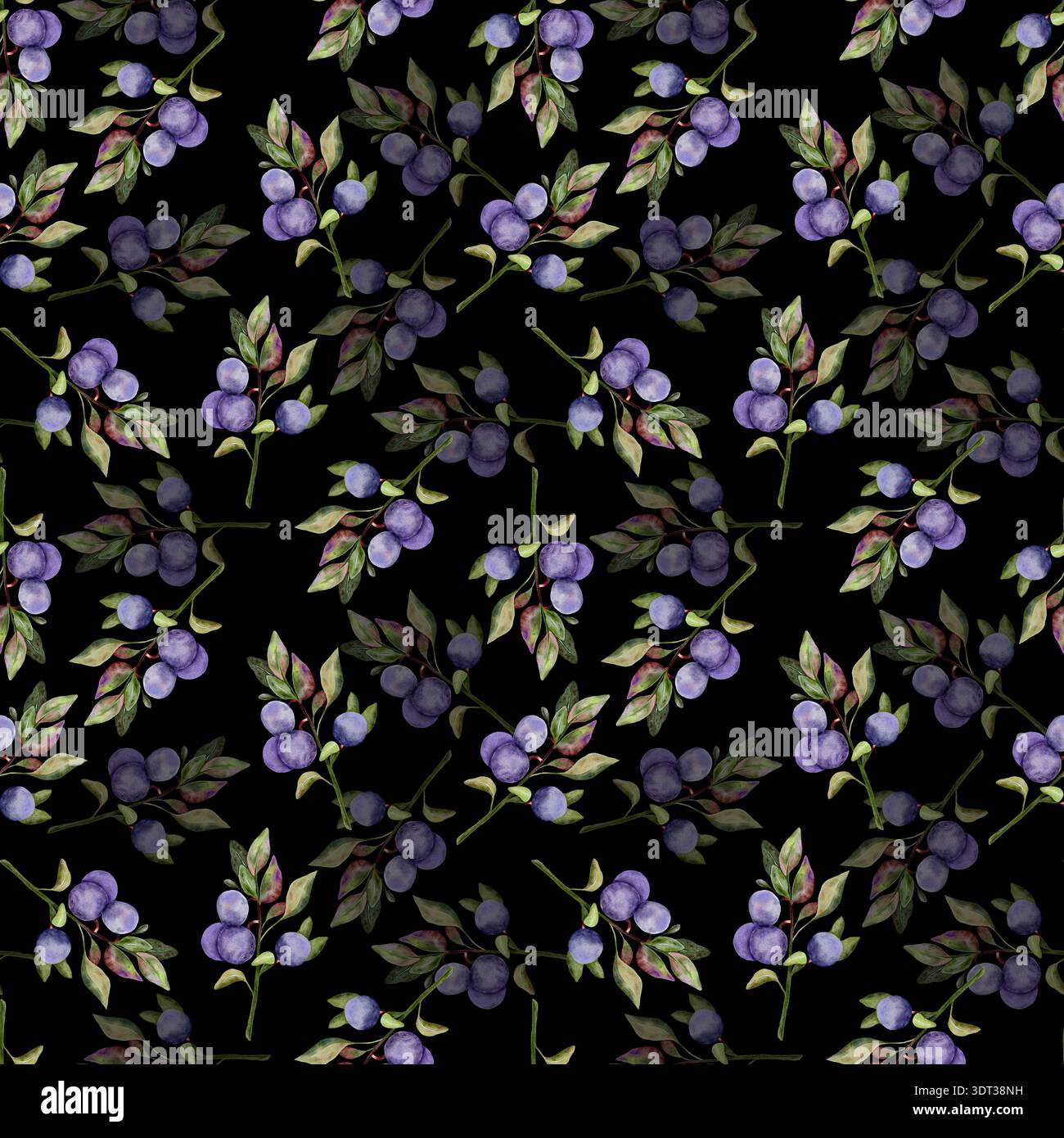 Blaubeere nahtloses Muster Aquarellzweige. Ein zartes Ornament aus Beeren. Für Gewebe, Textildesign, Digitalpapier. Schwarzer Hintergrund Stockfoto