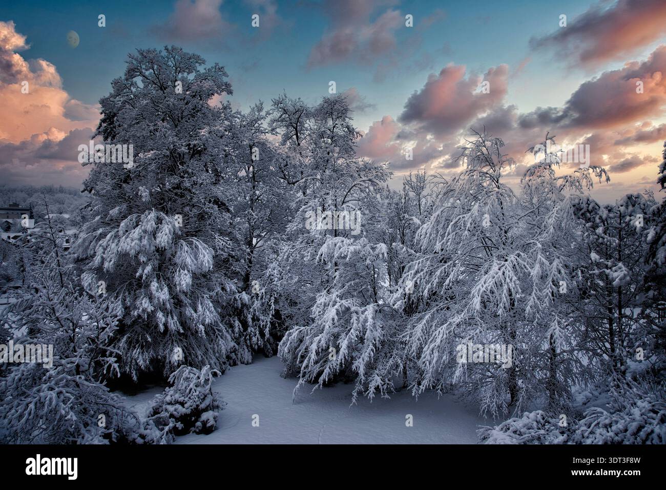 DE - BAYERN: Winterszene im Isartal bei Bad Tölz von Edmund Nagele FRPS Stockfoto
