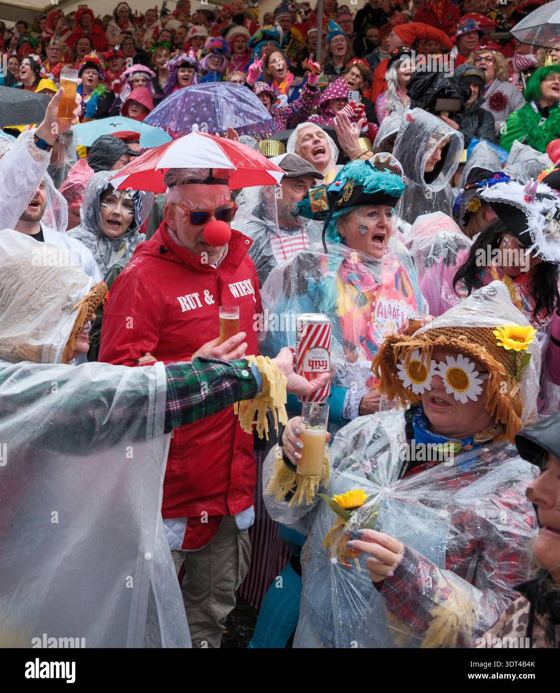 Karnevalsfreunde in Regenponchos trotzen Regenwetter auf dem Alten Markt in Köln am Weiberfastnacht Stockfoto