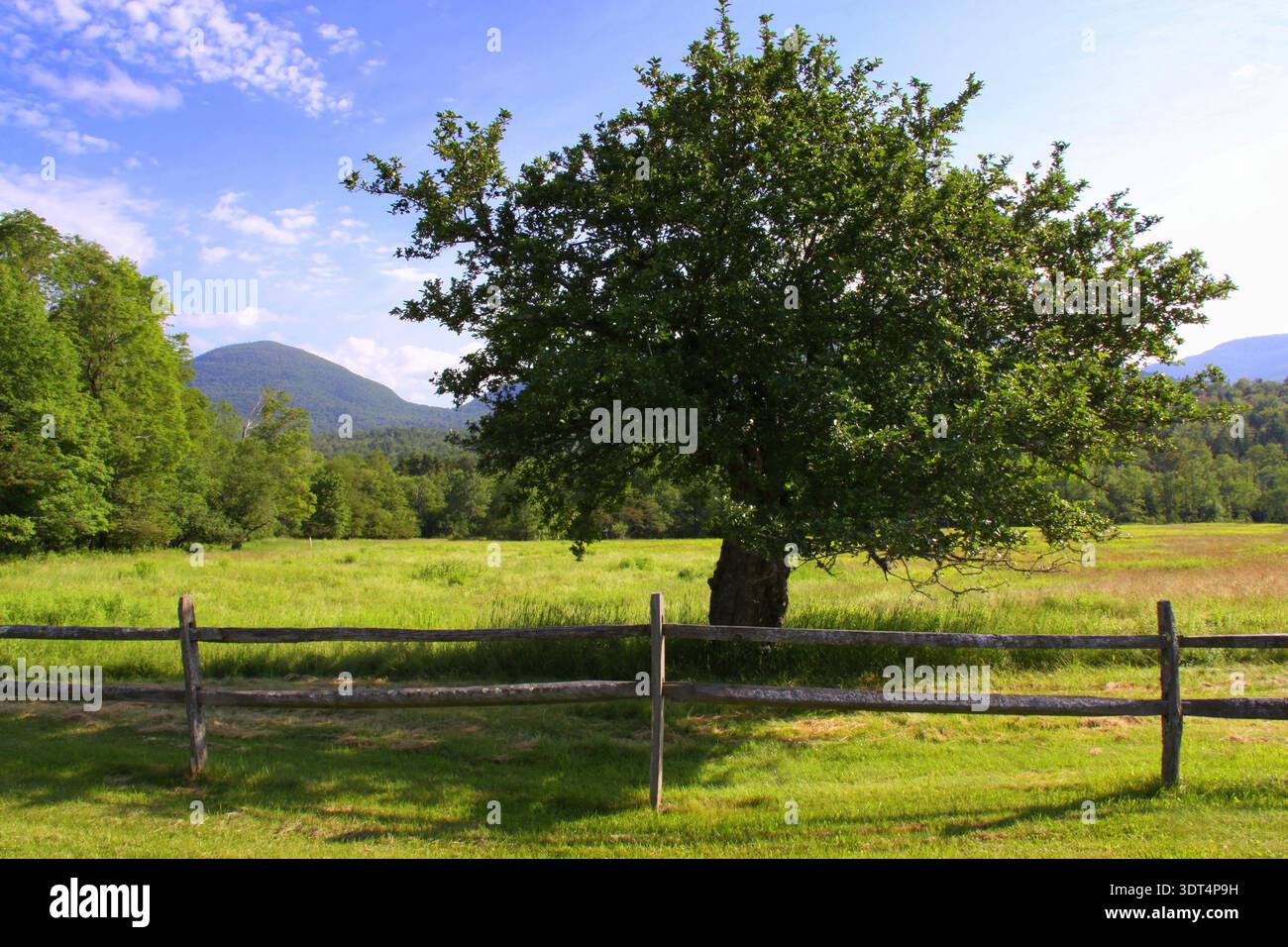 Eine Farm in den Catskill Mountains im Bundesstaat New York, USA. Stockfoto