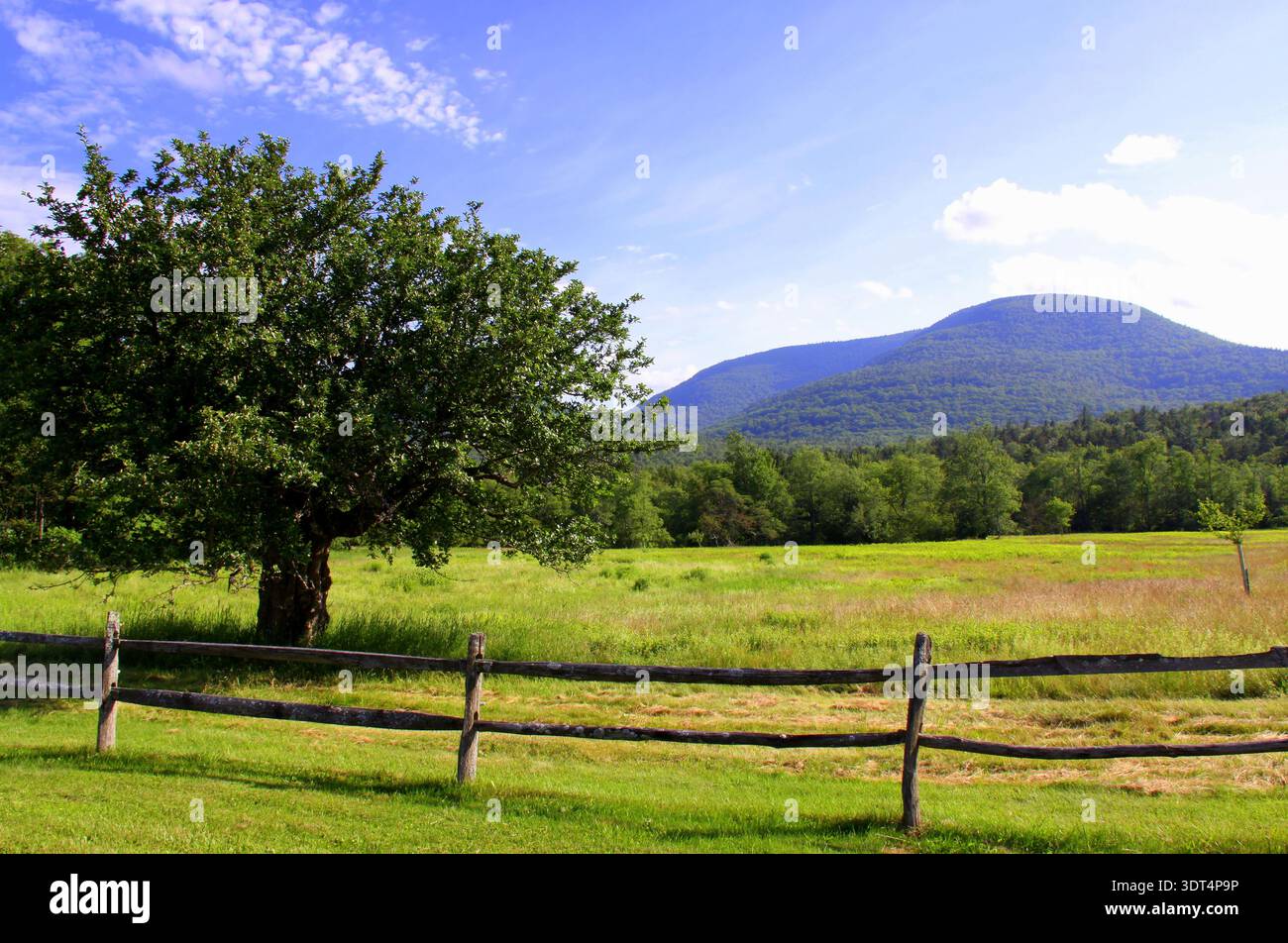 Eine Farm in den Catskill Mountains im Bundesstaat New York, USA. Stockfoto
