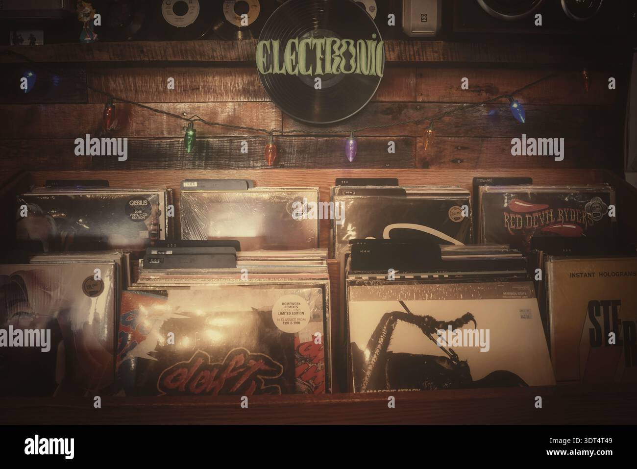 Schallplatten in einem beschrifteten Fach in einem unabhängigen Plattenladen mit verschiedenen Albumtiteln und Genres Stockfoto