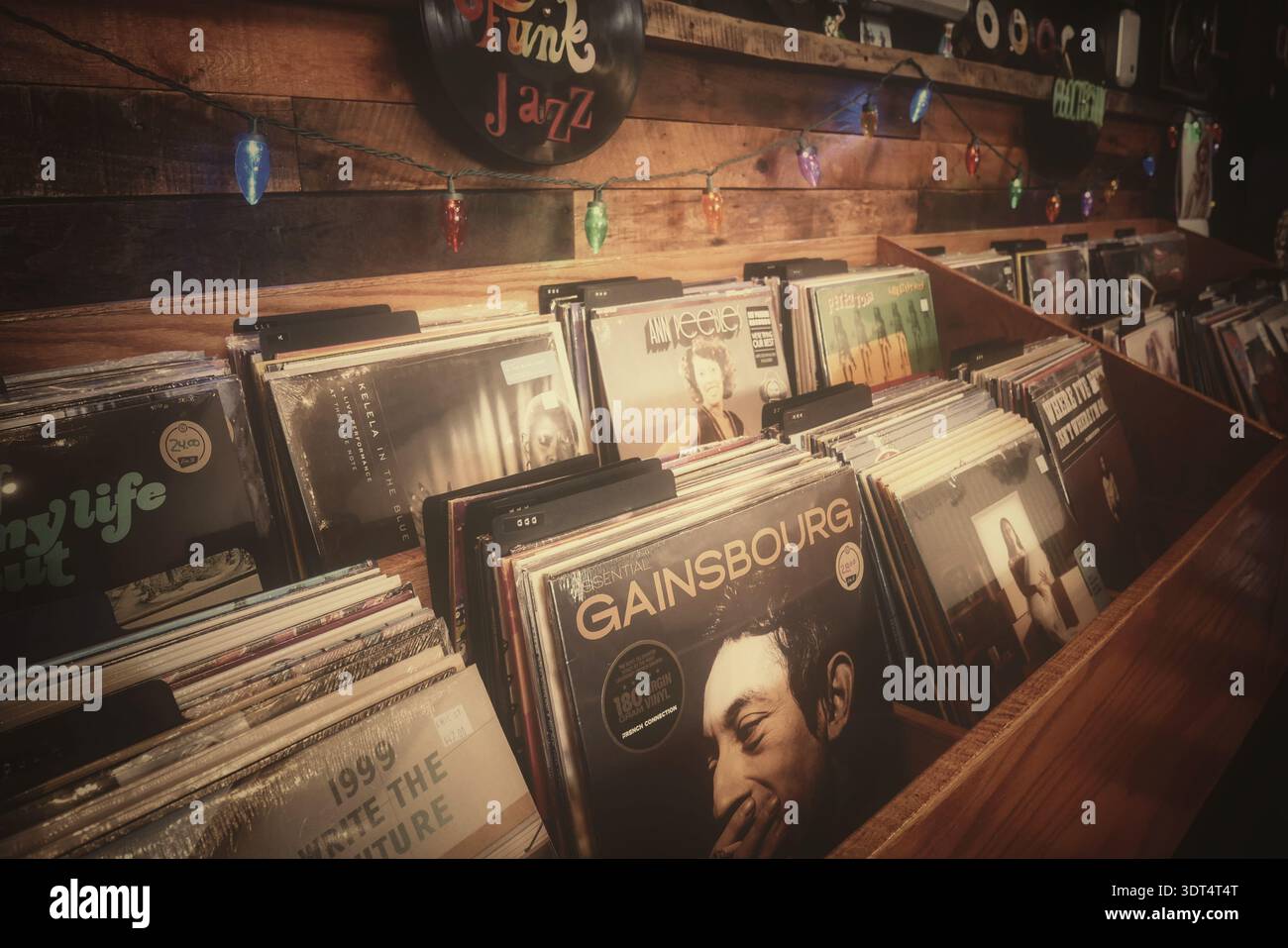Schallplatten in einem beschrifteten Fach in einem unabhängigen Plattenladen mit verschiedenen Albumtiteln und Genres Stockfoto