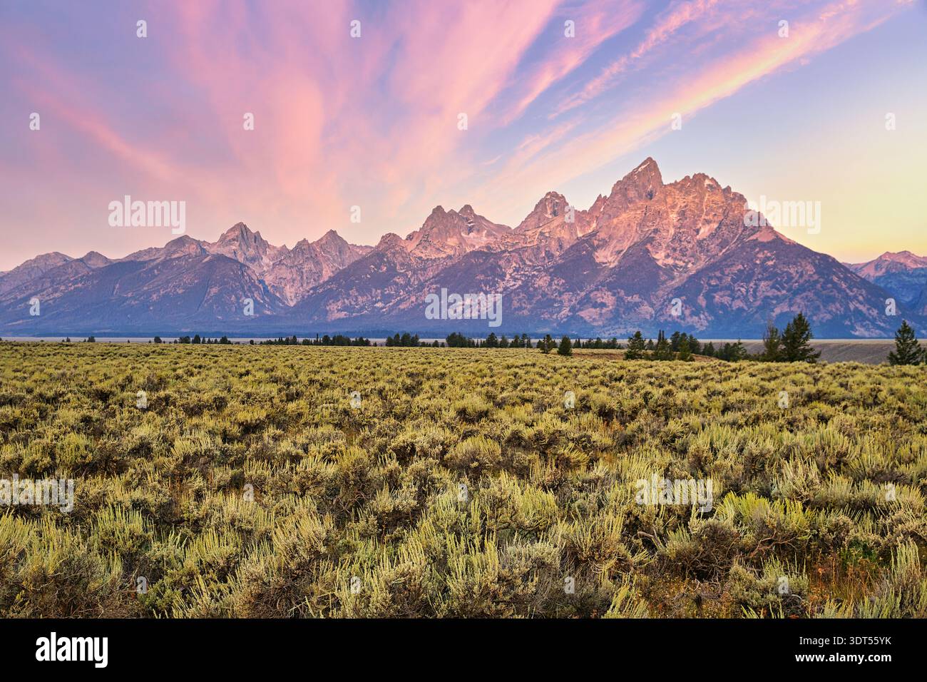 Im Grand Teton National Park, Wyoming, geht die Sonne über den Bergen von Grand Teton mit farbenfrohem Himmel auf. Die Landschaft zeigt Sagebroch und Bäume. Stockfoto