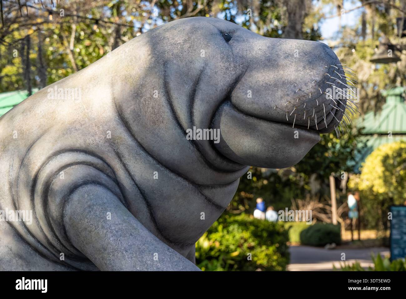 Manatee Statue im Jacksonville Zoo und Botanical Gardens in Jacksonville, Florida. (USA) Stockfoto