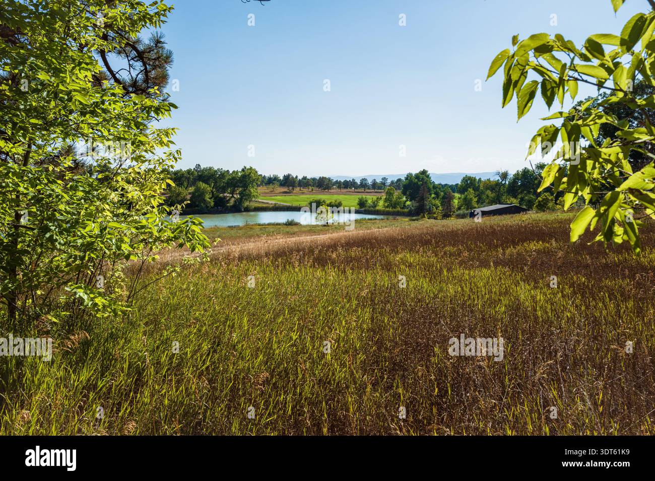 Ein malerischer Blick über ein Feld mit wilden Gräsern und einheimischer Vegetation in Richtung Blackmer Lake, ein Teil eines großen Naturschutzparks in Colorado. Stockfoto