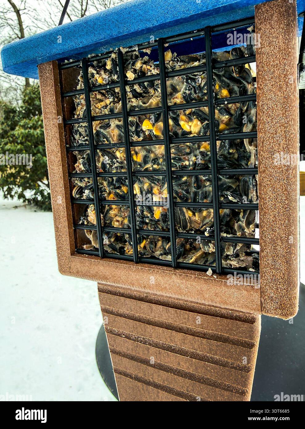 Suet für Spechte mit Zusatz von Samen und anderen Zutaten. Sie ist in einer Käfigzuführung dargestellt. Stockfoto