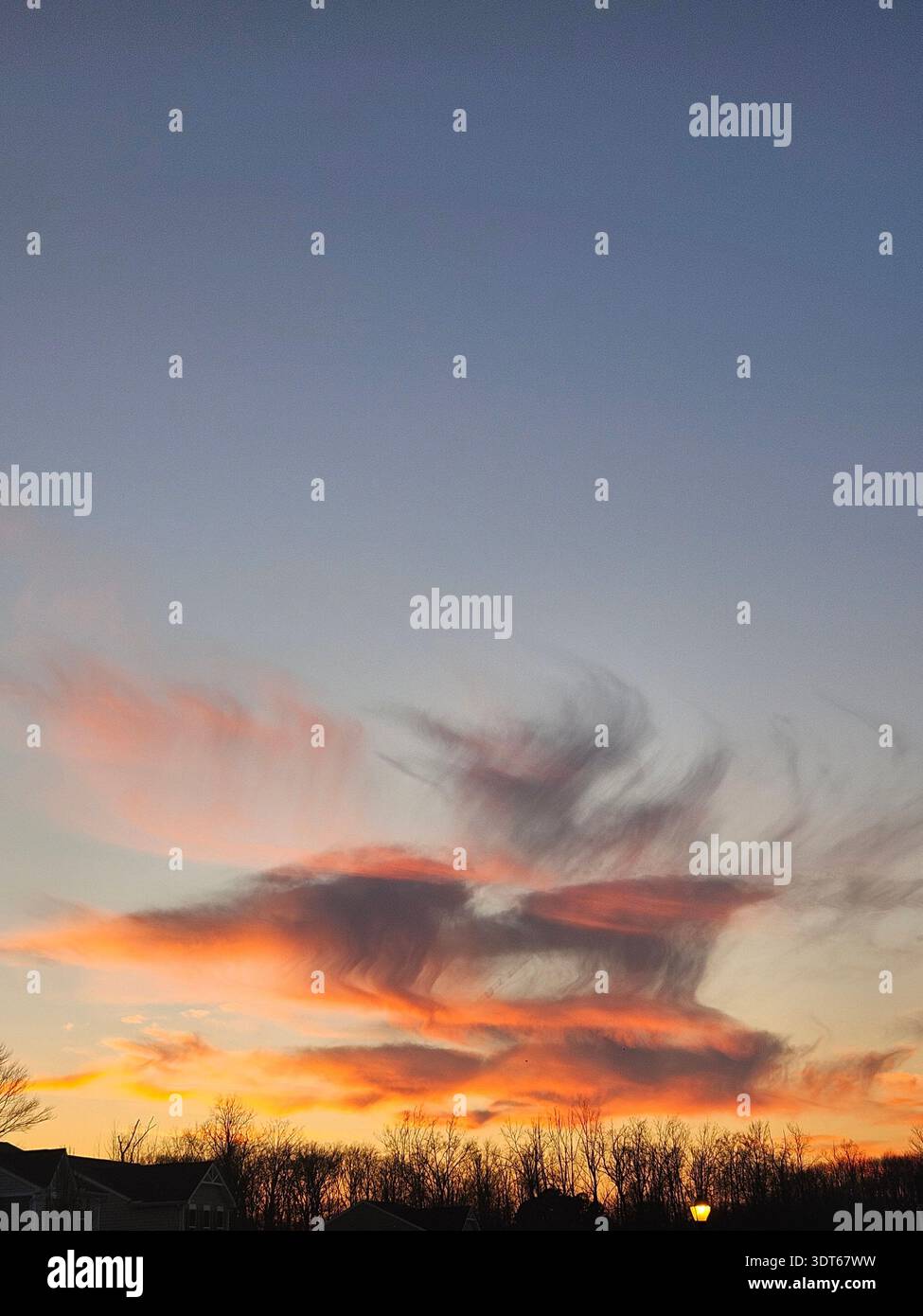 Amelia Ohio: ​A vertikale Niedrigwinkelaufnahme eines dramatischen Sonnenuntergangshimmels mit strukturierten, windgepeitschten Zirruswolken. Die Wolken sind in lebhaften Tönen von feurigem Orange und zartem Rosa gemalt und wirken wie Rauch oder Pinselstriche gegen einen Farbverlauf von blassem Blau bis tiefem Indigo. Darunter bilden die dunklen, blattlosen Silhouetten von Winterbäumen und ein Vorstadtdach den unteren Teil der Szene. - Smartphone-aufgenommenes Stockfoto