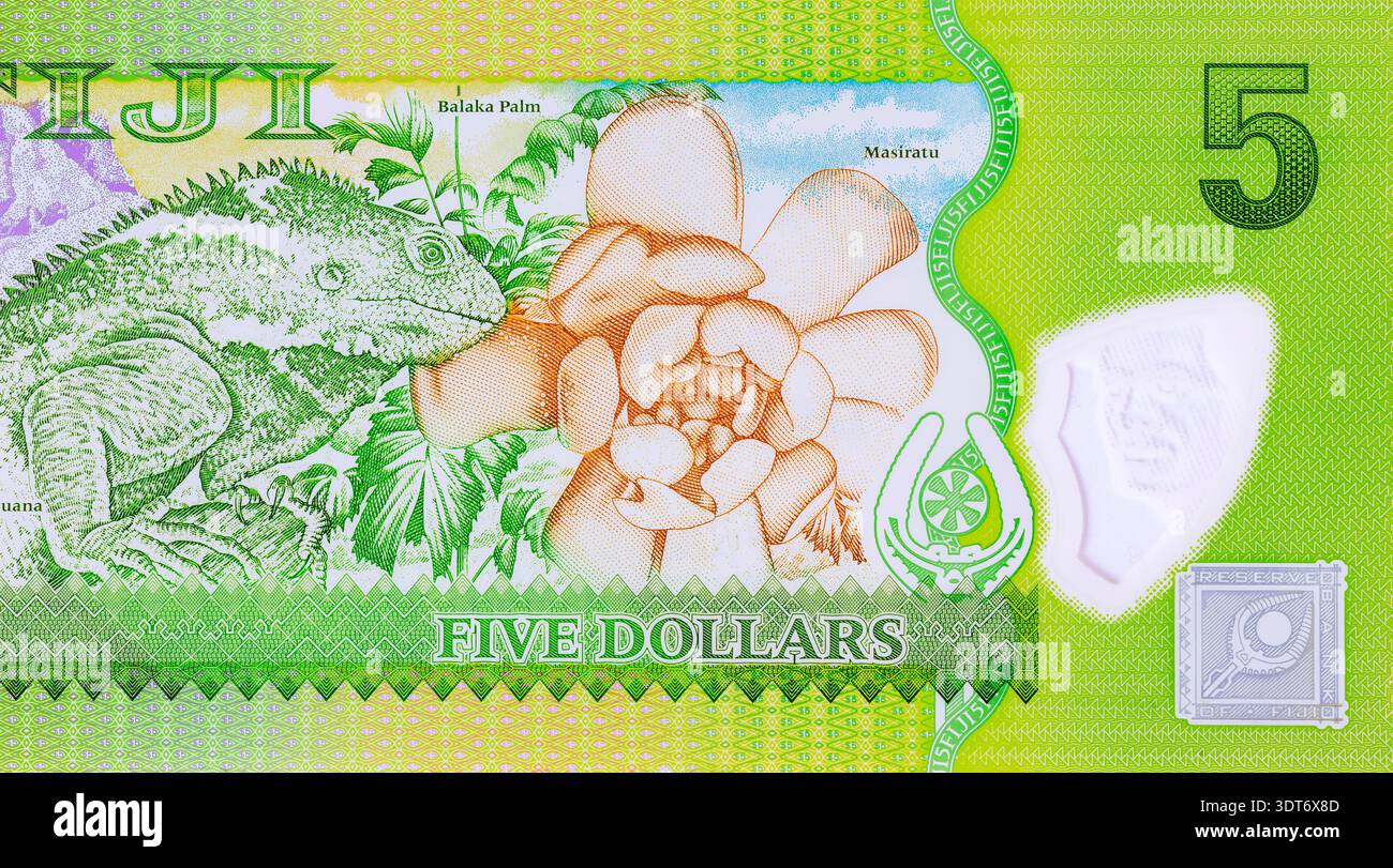Fünf Dollar Schein von Fidschi Ausgabe Reserve Bank of Fidschi Rückseite Stockfoto