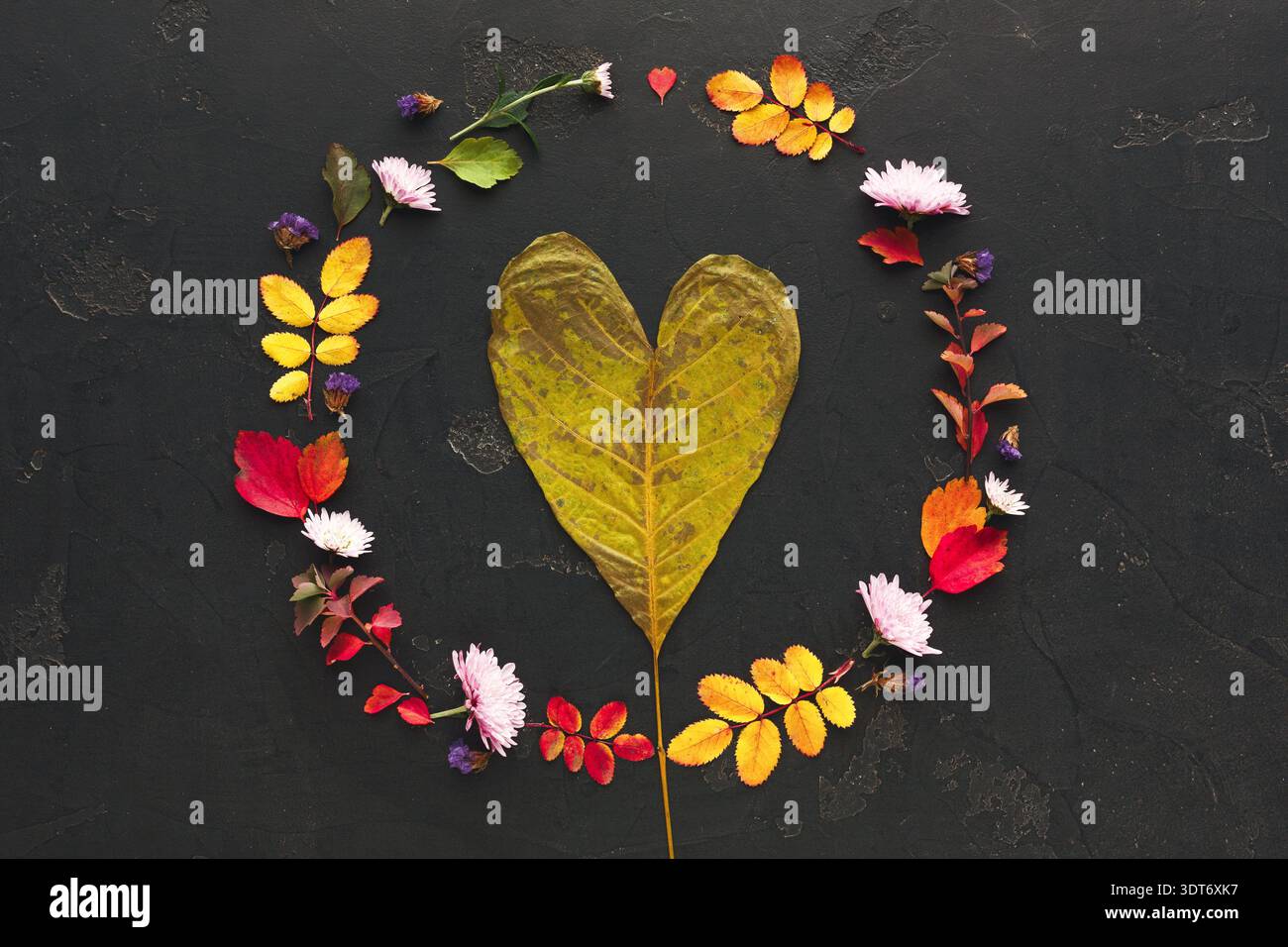 Sammlung von Blättern und Blumen in Herzform auf dunkler Oberfläche Stockfoto